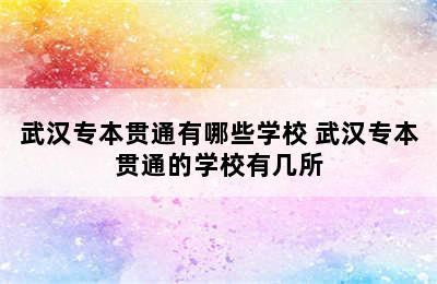 武汉专本贯通有哪些学校 武汉专本贯通的学校有几所